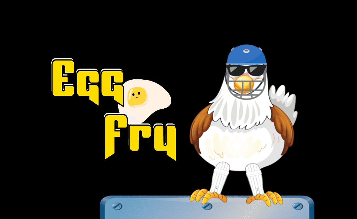 Updated Egg Fry