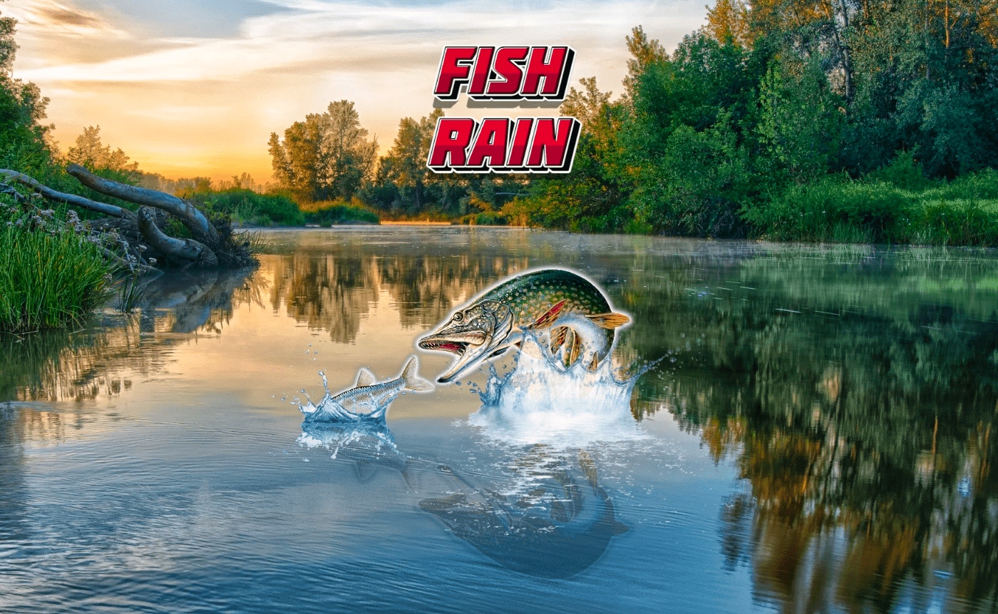Fish Rain Enhanced